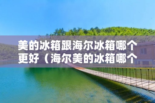 美的冰箱跟海尔冰箱哪个更好（海尔美的冰箱哪个耐用）