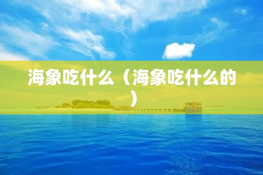海象吃什么（海象吃什么的）