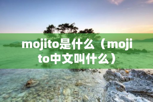 mojito是什么（mojito中文叫什么）