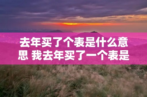 去年买了个表是什么意思 我去年买了一个表是什么意思?