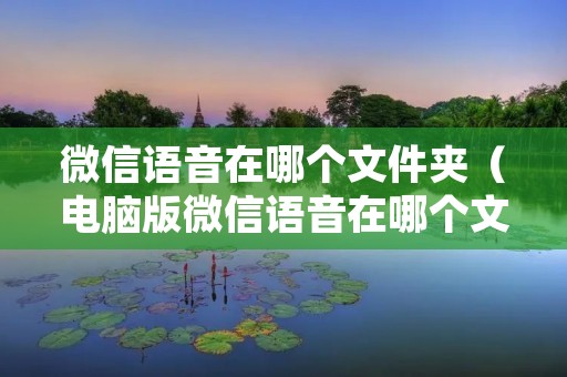 微信语音在哪个文件夹(电脑版微信语音在哪个文件夹) 微信语音在哪个文件夹(电脑版微信语音在哪个文件夹)