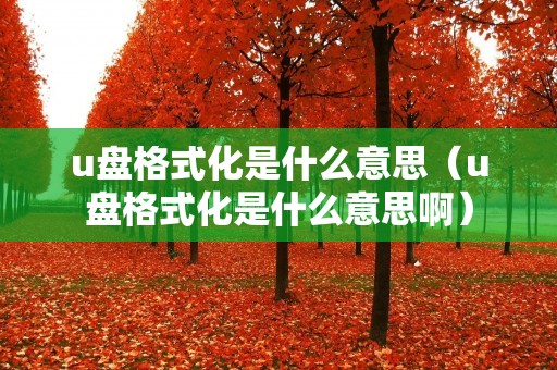 u盘格式化是什么意思（u盘格式化是什么意思啊）