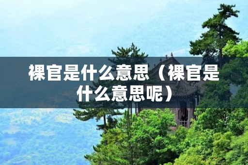 裸官是什么意思(裸官是什么意思呢) 裸官是什么意思(裸官是什么意思呢)