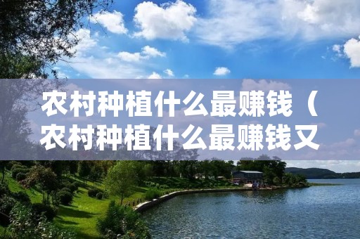 农村种植什么最赚钱（农村种植什么最赚钱又不愁销路）