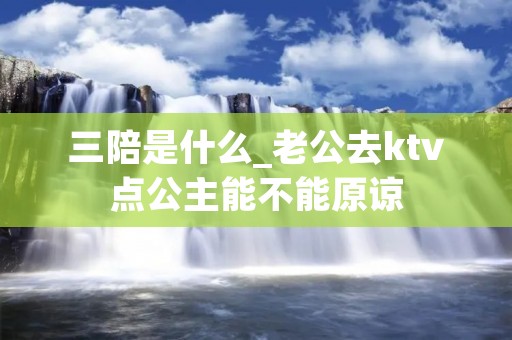 三陪是什么_老公去ktv点公主能不能原谅