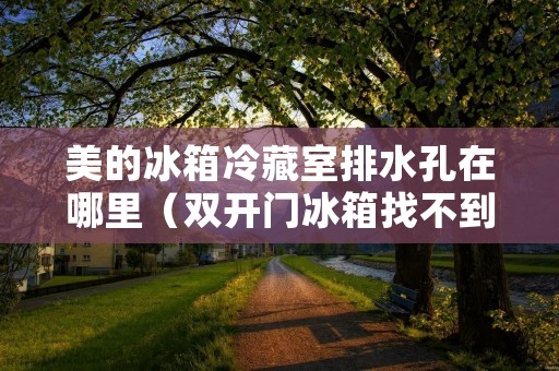 美的冰箱冷藏室排水孔在哪里（双开门冰箱找不到排水孔）