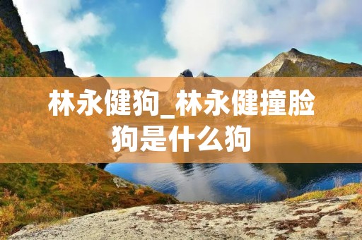 林永健狗_林永健撞脸狗是什么狗