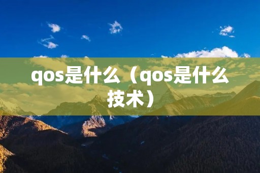 qos是什么（qos是什么技术）
