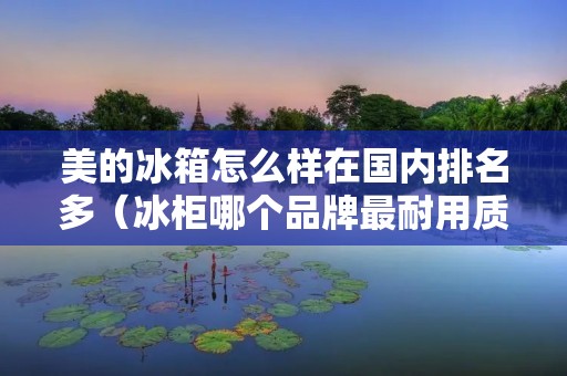 美的冰箱怎么样在国内排名多（冰柜哪个品牌最耐用质量好）