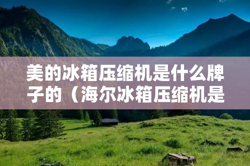 美的冰箱压缩机是什么牌子的（海尔冰箱压缩机是什么牌子的）