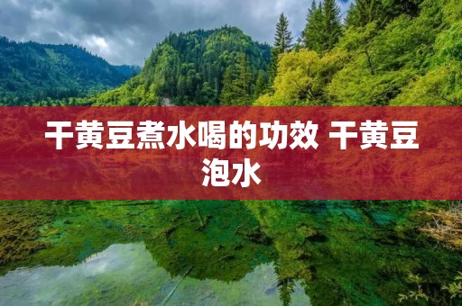 干黄豆煮水喝的功效 干黄豆泡水