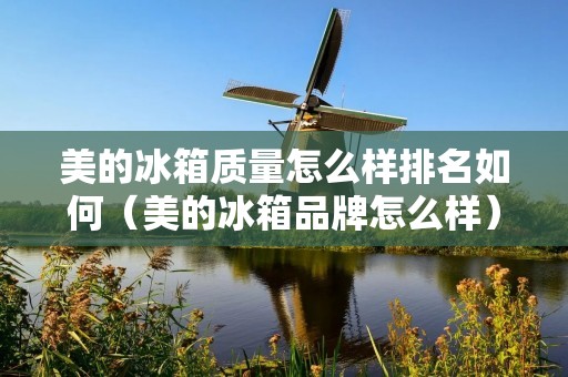 美的冰箱质量怎么样排名如何(美的冰箱品牌怎么样) 美的冰箱质量怎么样排名如何(美的冰箱品牌怎么样)