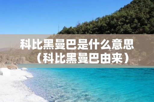 科比黑曼巴是什么意思（科比黑曼巴由来）
