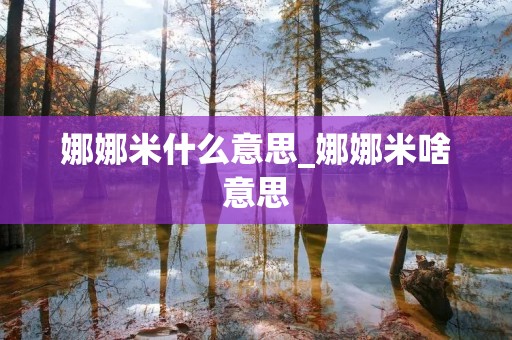 娜娜米什么意思_娜娜米啥意思