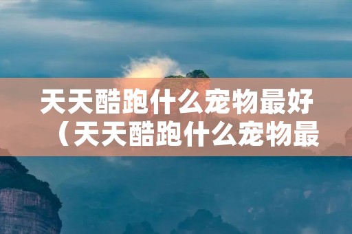 天天酷跑什么宠物最好（天天酷跑什么宠物最好刷）