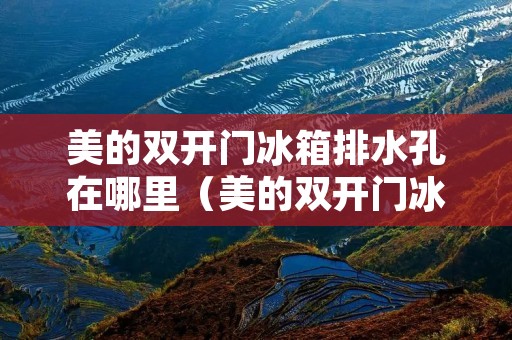 美的**门冰箱排水孔在哪里(美的**门冰箱排水孔在哪里位置) 美的**门冰箱排水孔在哪里(美的**门冰箱排水孔在哪里位置)