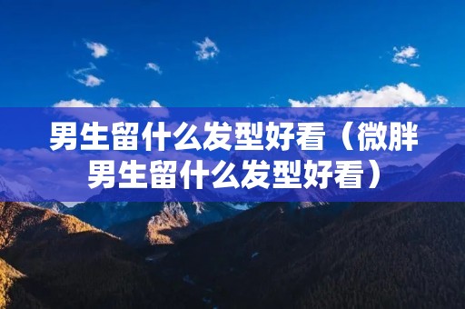 男生留什么发型好看(微胖男生留什么发型好看) 男生留什么发型好看(微胖男生留什么发型好看)