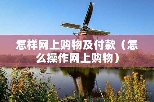 怎样网上购物及付款(怎么操作网上购物) 怎样网上购物及付款(怎么操作网上购物)