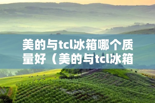 美的与tcl冰箱哪个质量好（美的与tcl冰箱哪个质量好一些）