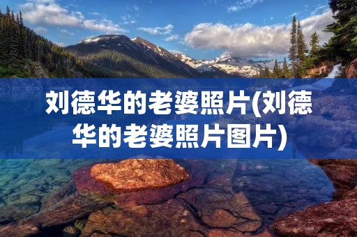 刘德华的老婆照片(刘德华的老婆照片图片)