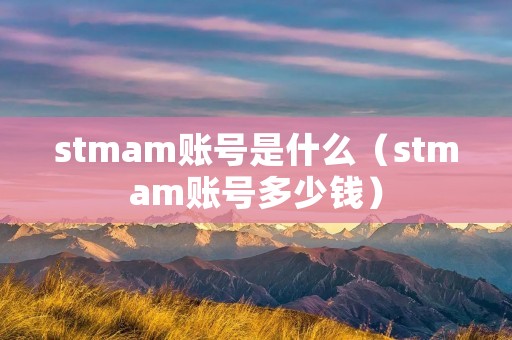stmam账号是什么(stmam账号多少钱) stmam账号是什么(stmam账号多少钱)