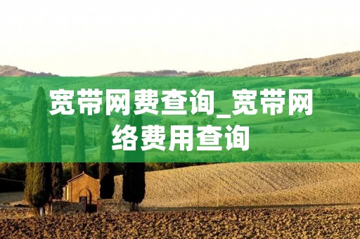 宽带网费查询_宽带网络费用查询