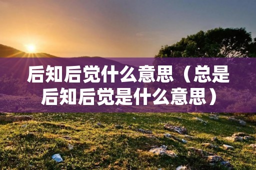后知后觉什么意思（总是后知后觉是什么意思）