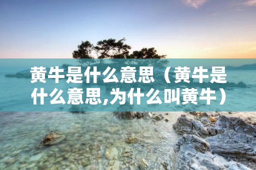 黄牛是什么意思（黄牛是什么意思,为什么叫黄牛）