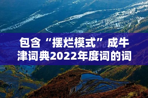 包含“摆烂模式”成牛津词典2022年度词的词条