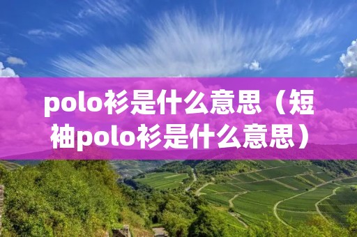 polo衫是什么意思（短袖polo衫是什么意思）