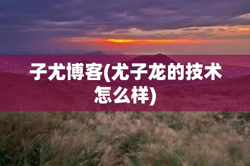 子尤博客(尤子龙的技术怎么样) 子尤博客(尤子龙的技术怎么样)