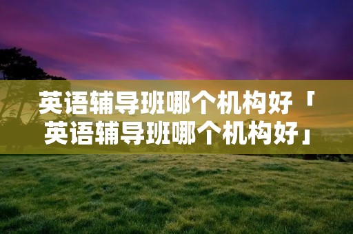 英语辅导班哪个机构好「英语辅导班哪个机构好」