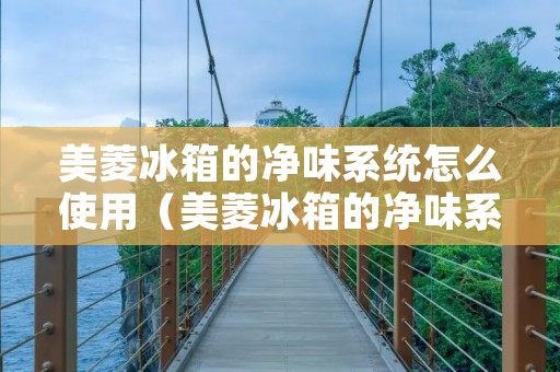 美菱冰箱的净味系统怎么使用（美菱冰箱的净味系统为什么不净味?）