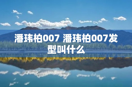 潘玮柏007 潘玮柏007发型叫什么 潘玮柏007 潘玮柏007发型叫什么