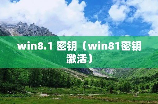 win8.1 密钥(win81密钥激活) win8.1 密钥(win81密钥激活)