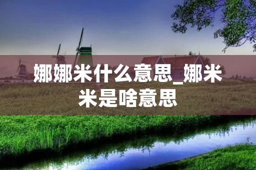 娜娜米什么意思_娜米米是啥意思