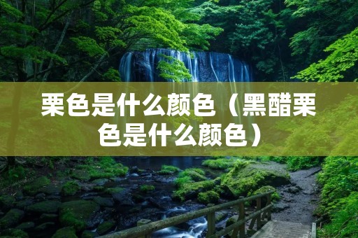 栗色是什么颜色（黑醋栗色是什么颜色）