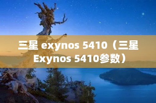 三星 exynos 5410（三星 Exynos 5410参数）