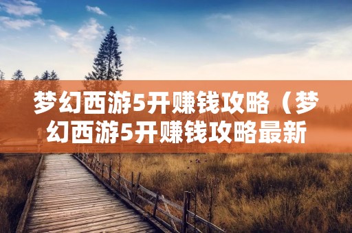 梦幻西游5开赚钱攻略（梦幻西游5开赚钱攻略最新）