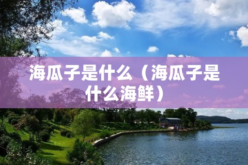 海瓜子是什么(海瓜子是什么海鲜) 海瓜子是什么(海瓜子是什么海鲜)