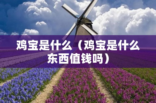 鸡宝是什么(鸡宝是什么东西值钱吗) 鸡宝是什么(鸡宝是什么东西值钱吗)