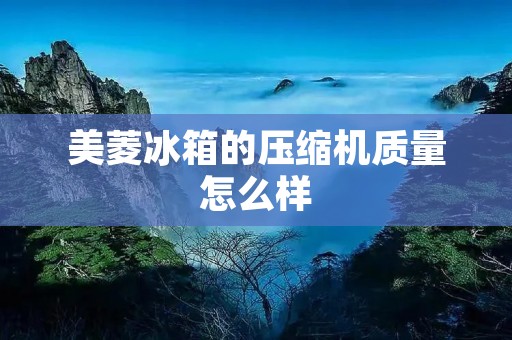 美菱冰箱的压缩机质量怎么样