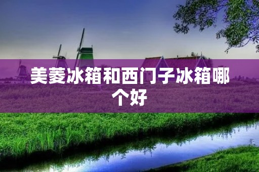 美菱冰箱和西门子冰箱哪个好