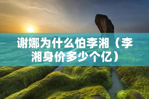 谢娜为什么怕李湘(李湘身价多少个亿) 谢娜为什么怕李湘(李湘身价多少个亿)