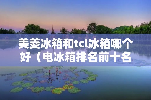 美菱冰箱和tcl冰箱哪个好（电冰箱排名前十名的品牌）