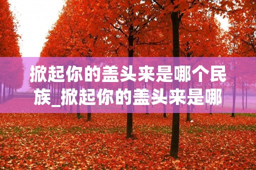 掀起你的盖头来是哪个民族_掀起你的盖头来是哪个民族的歌曲