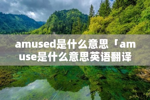 amused是什么意思「amuse是什么意思英语翻译」