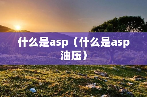 什么是asp（什么是asp油压）