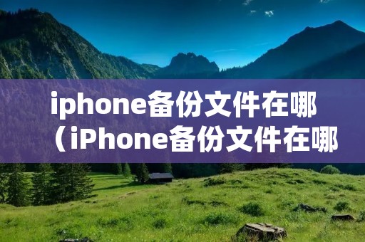 iphone备份文件在哪(iPhone备份文件在哪个文件夹) iphone备份文件在哪(iPhone备份文件在哪个文件夹)