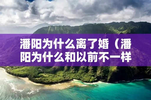 潘阳为什么离了婚（潘阳为什么和以前不一样了）